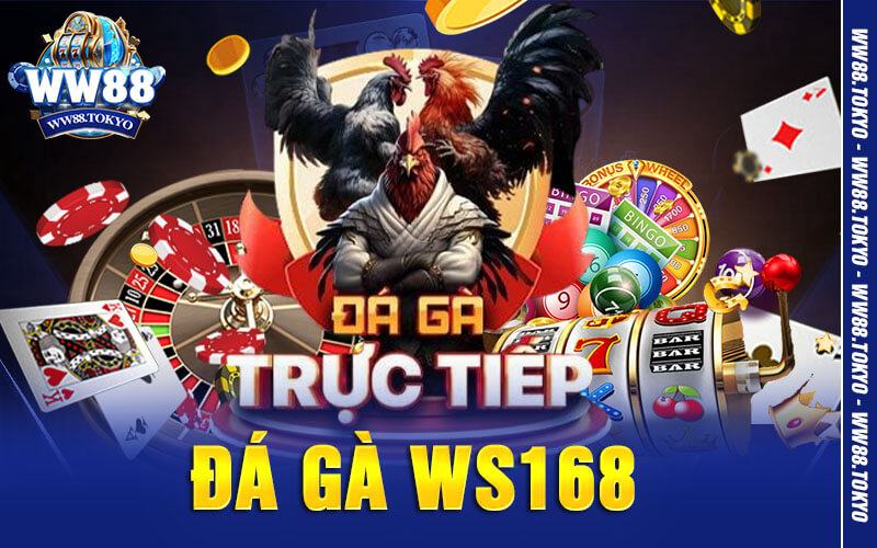 Đá Gà WS168